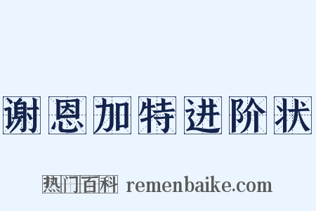 谢恩加特进阶状是什么意思的图片